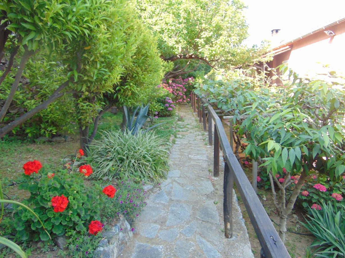 Casa Roberto B&B Savona Exterior foto