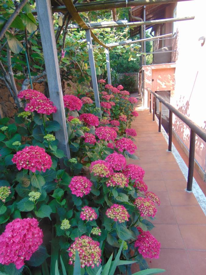 Casa Roberto B&B Savona Exterior foto